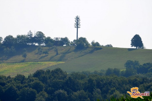 FOTO: Umetno drevo pri Gradu v bistvu bazna postaja